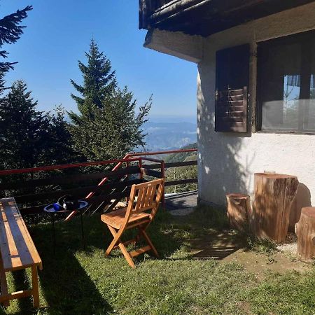 Holiday House Nesovic Kopaonik Buitenkant foto