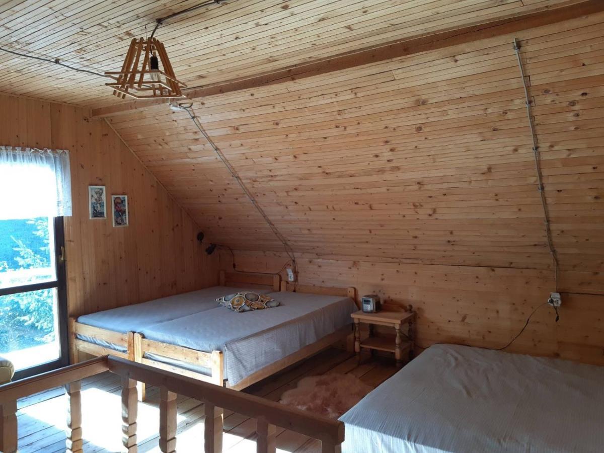 Holiday House Nesovic Kopaonik Buitenkant foto
