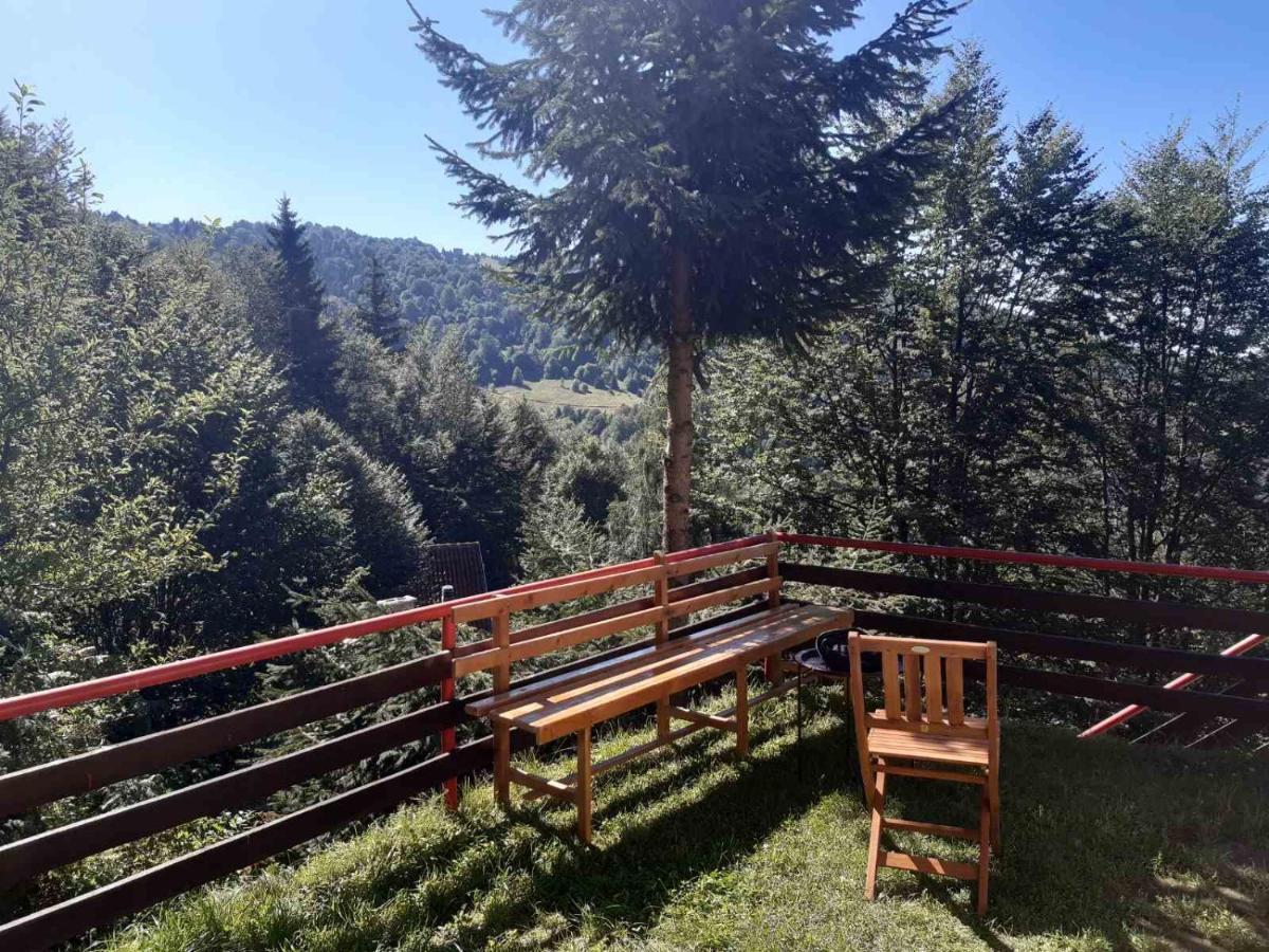 Holiday House Nesovic Kopaonik Buitenkant foto