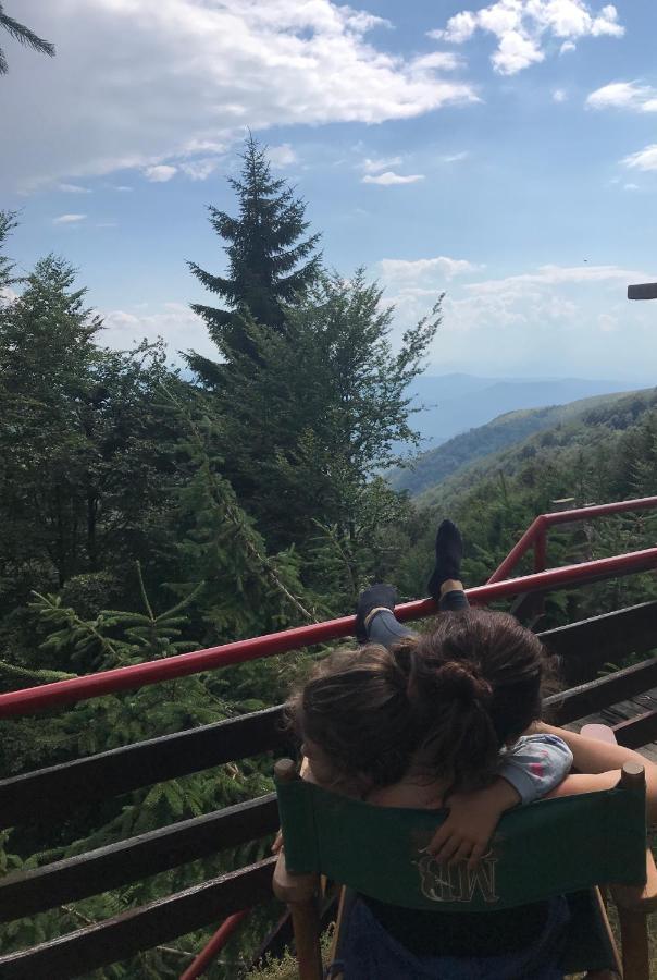 Holiday House Nesovic Kopaonik Buitenkant foto