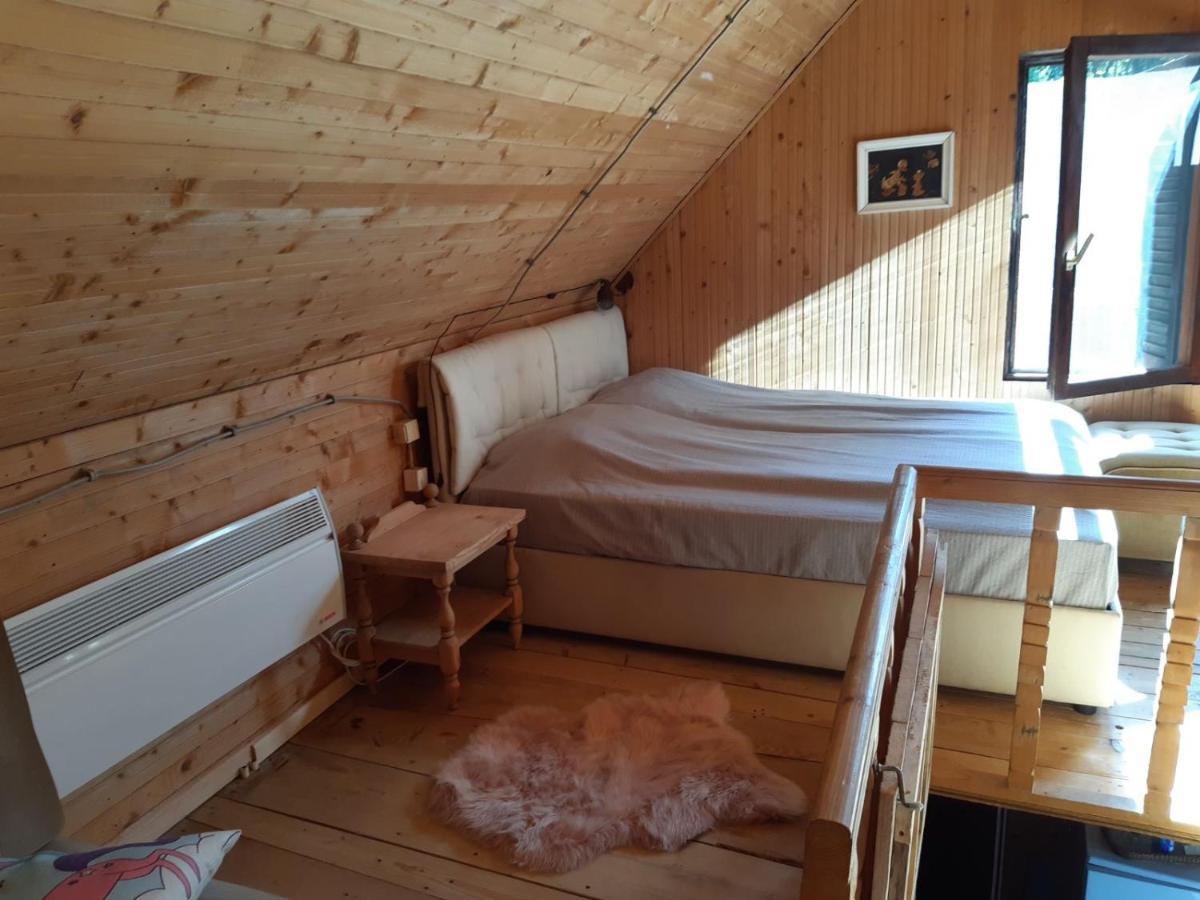 Holiday House Nesovic Kopaonik Buitenkant foto