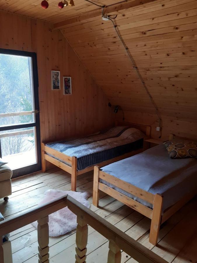 Holiday House Nesovic Kopaonik Buitenkant foto