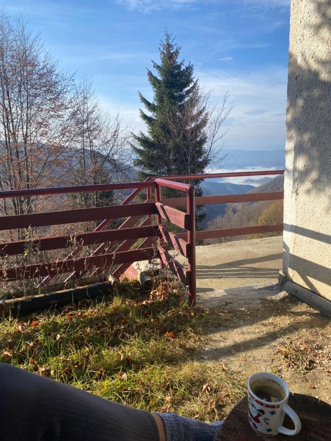 Holiday House Nesovic Kopaonik Buitenkant foto