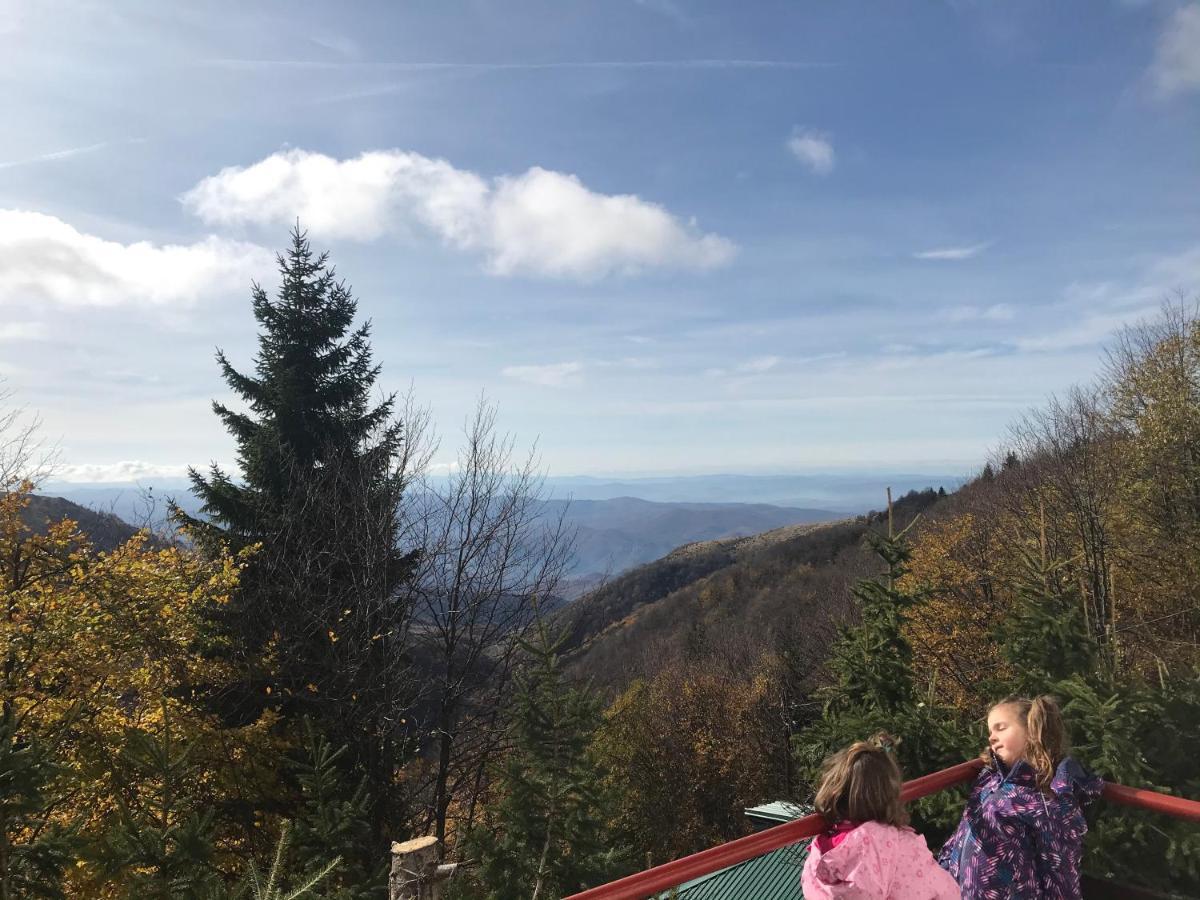 Holiday House Nesovic Kopaonik Buitenkant foto