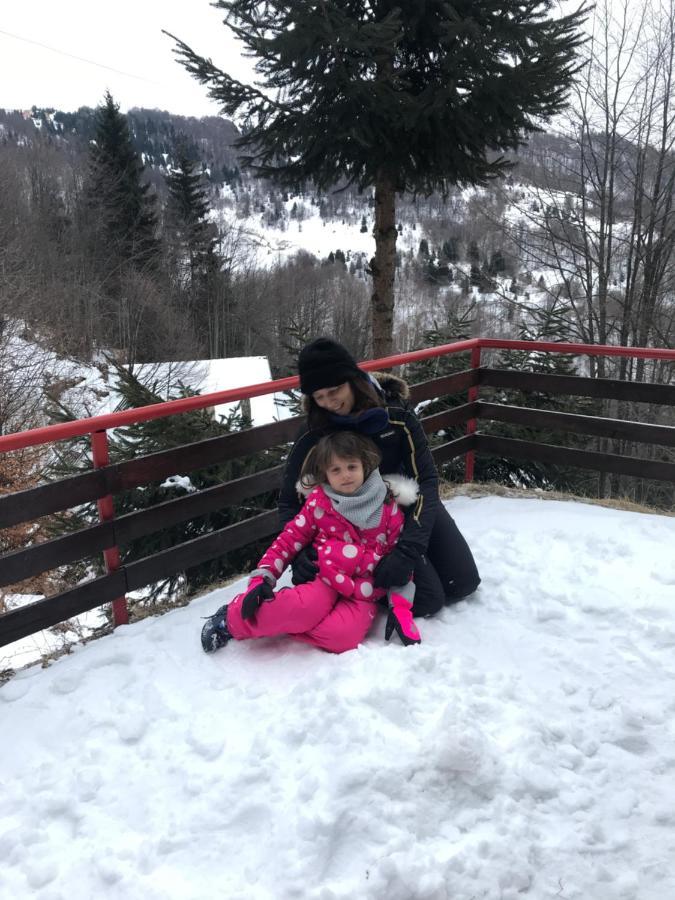 Holiday House Nesovic Kopaonik Buitenkant foto