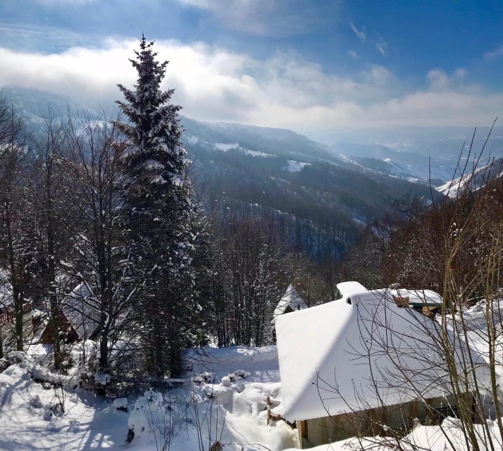 Holiday House Nesovic Kopaonik Buitenkant foto