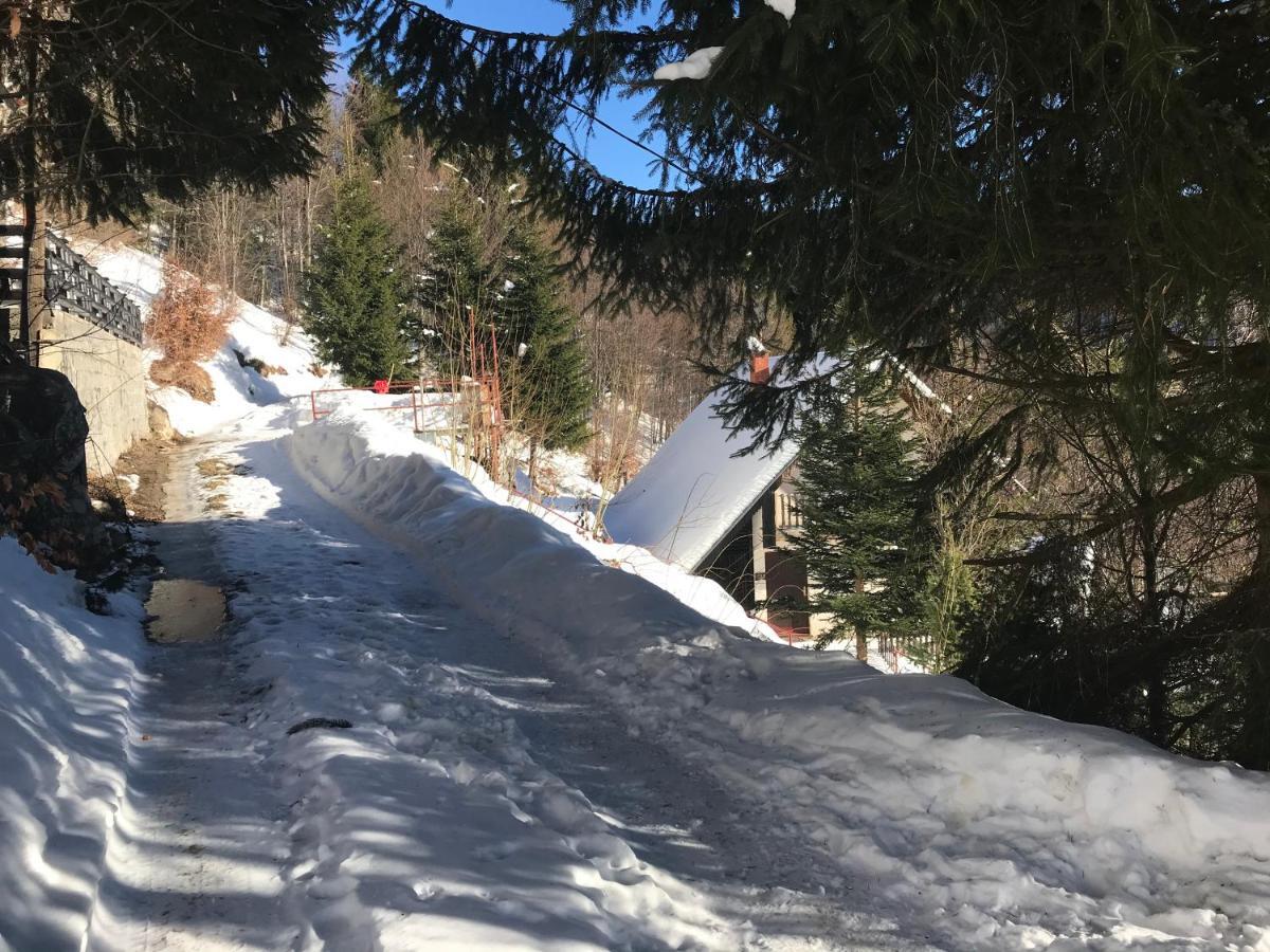 Holiday House Nesovic Kopaonik Buitenkant foto
