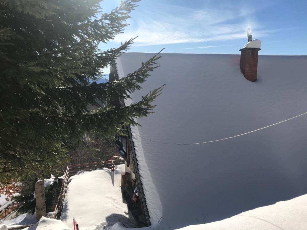 Holiday House Nesovic Kopaonik Buitenkant foto