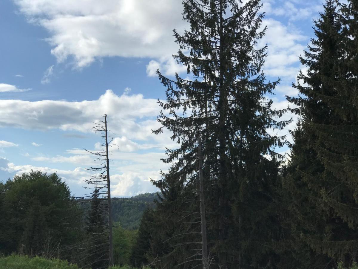 Holiday House Nesovic Kopaonik Buitenkant foto