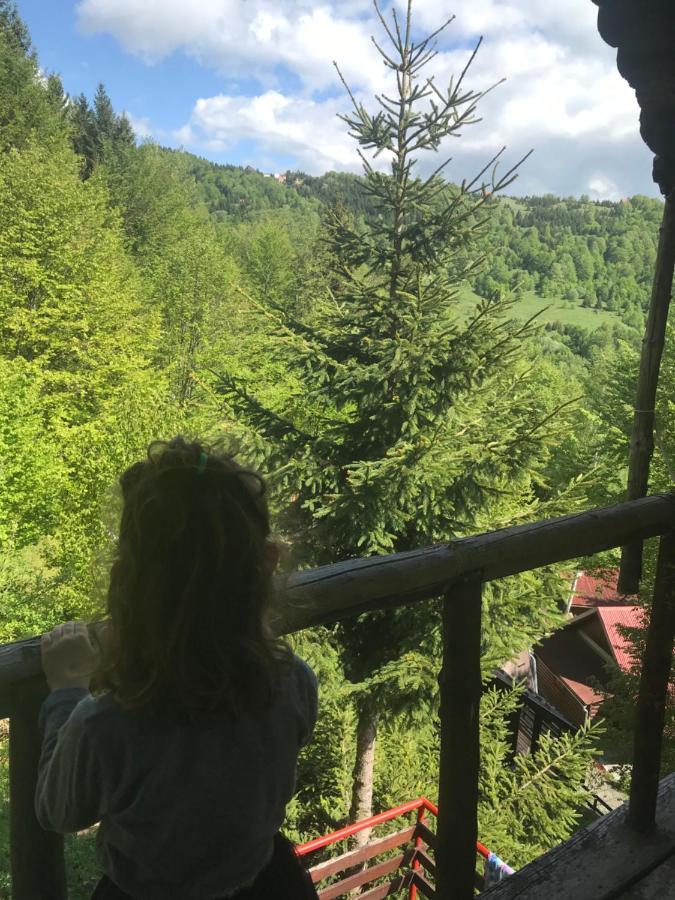 Holiday House Nesovic Kopaonik Buitenkant foto
